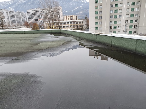 toiture eau stagnante